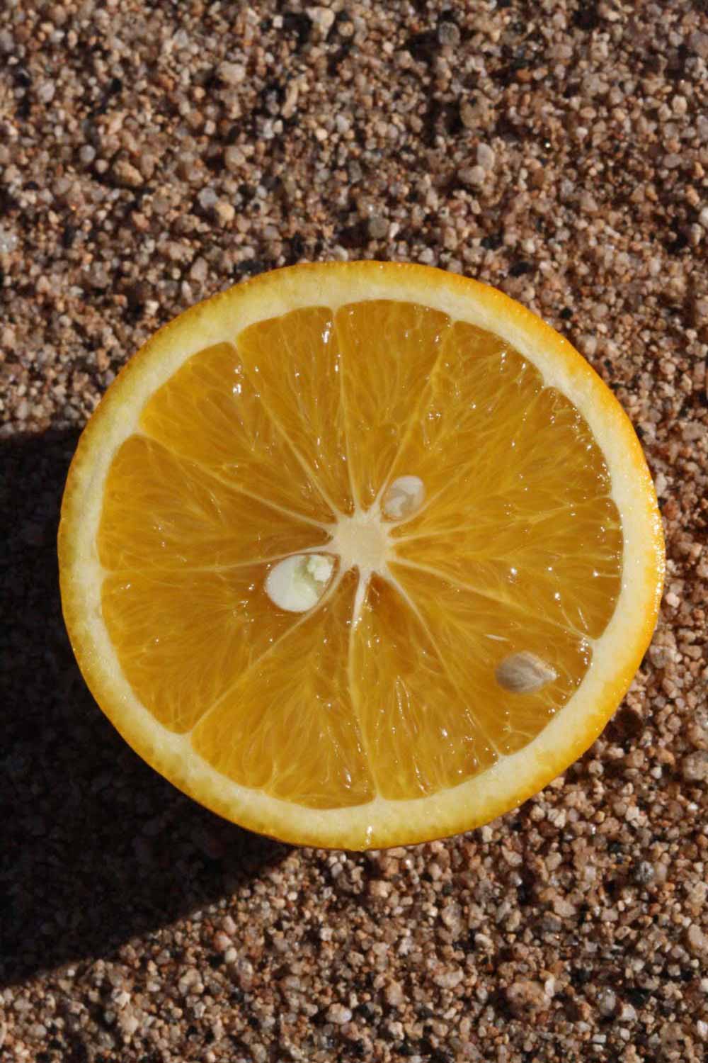              Fruit cross-section (Riverside, CA)       